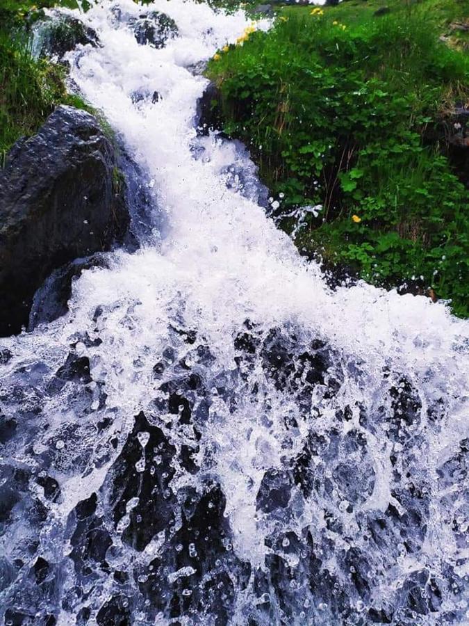 ボロフタ Кришталеві Вершиниヴィラ エクステリア 写真