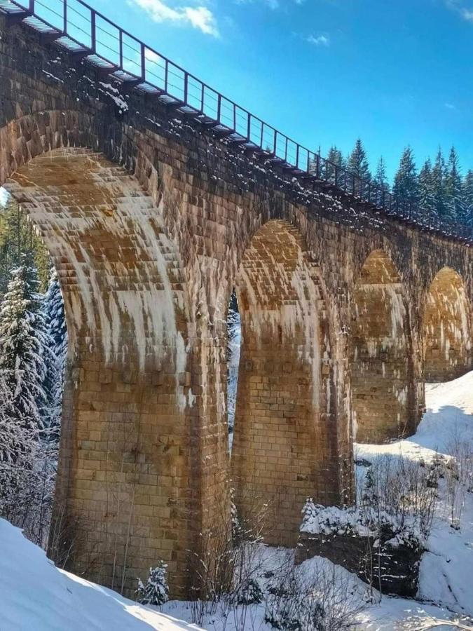 ボロフタ Кришталеві Вершиниヴィラ エクステリア 写真
