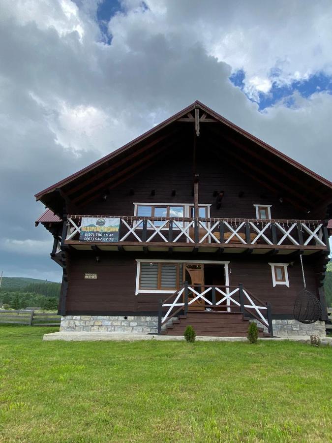 ボロフタ Кришталеві Вершиниヴィラ エクステリア 写真